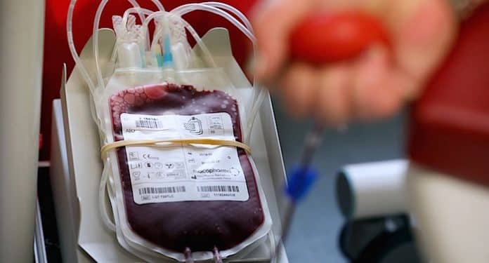 Tripsdrill Gutschein Blutspenden