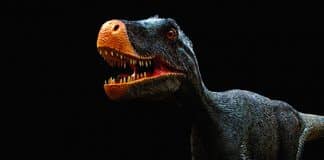 Dinosaurier-Park Münchehagen Gutschein