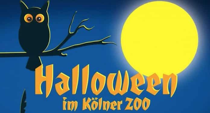 Kölner Zoo Halloween