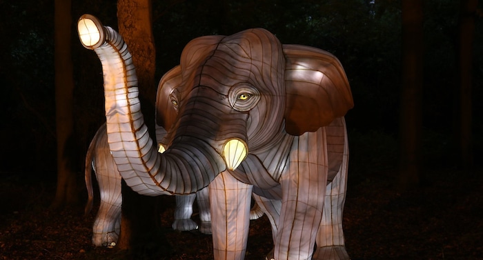 Zoo Osnabrück: Veranstaltung „Zoo-Lights“ im November 2020