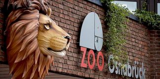 Zoo Osnabrück: 8 Millionen Euro für neue „Wasserwelten“