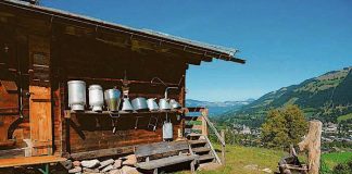 Kitzbüheler Alpen Gewinnspiel: Urlaub in den Bergen gewinnen