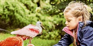 Weltvogelpark Walsrode Gutschein Saison 2021 mit 27 Prozent Rabatt