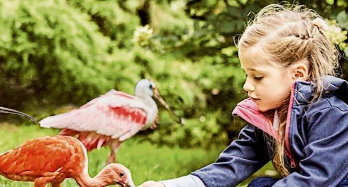 Weltvogelpark Walsrode Gutschein Saison 2021 mit 27 Prozent Rabatt