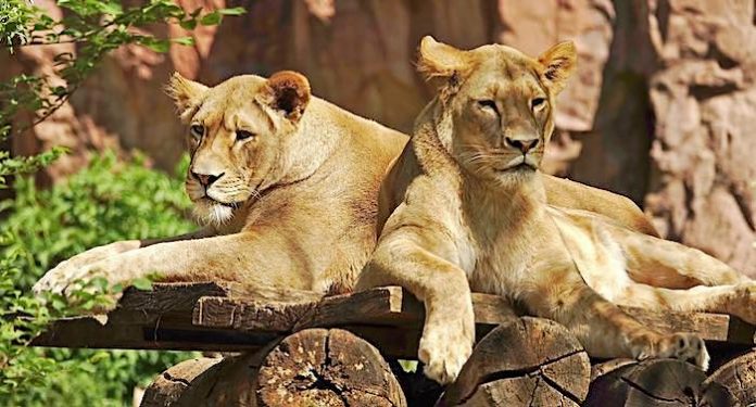 ZOOM Erlebniswelt: Privatperson vererbt Zoo mehr als 120.000 Euro