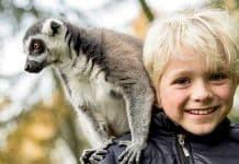 Serengeti-Park Gutschein Kinder Freikarte Saison 2023 kostenlos bestellen
