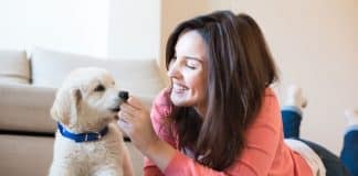 Fressnapf Gewinnspiel: Kurzurlaub mit Hund kostenlos gewinnen
