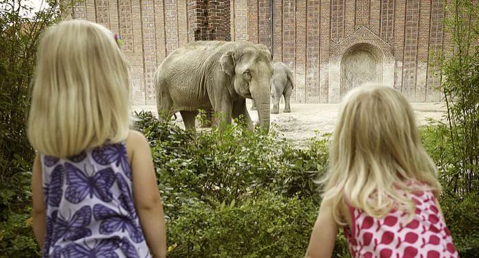 Zoo Leipzig Gutschein Kindertag 2023: Freier Eintritt für Kinder