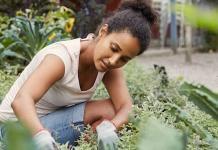 Stilvolle Gartengestaltung - Ideen, wertvolle Tipps und Anregungen