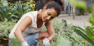 Stilvolle Gartengestaltung - Ideen, wertvolle Tipps und Anregungen