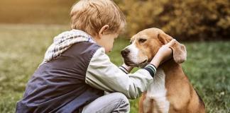 Anifit Gutschein für gesundes Hundefutter und Katzenfutter