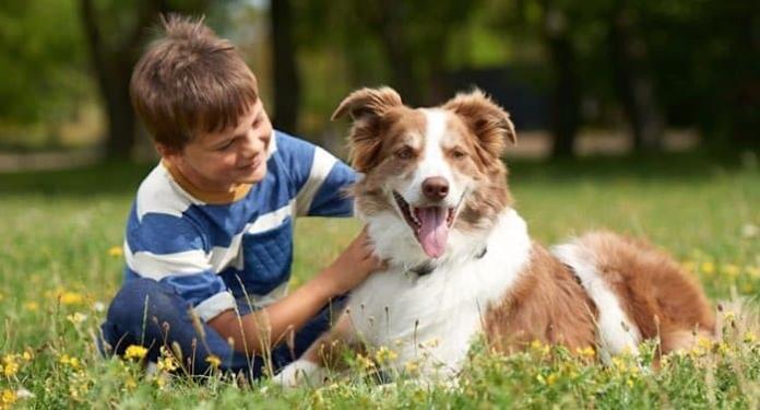 Fressnapf Gewinnspiel: Kurzurlaub für zwei Personen mit Hund gewinnen